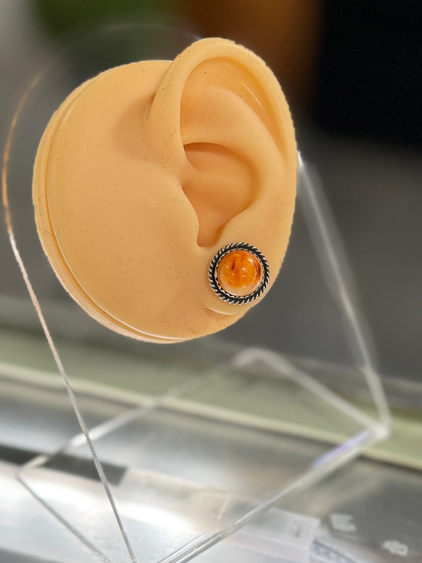 Small Spiny Oyster Stud Earrings