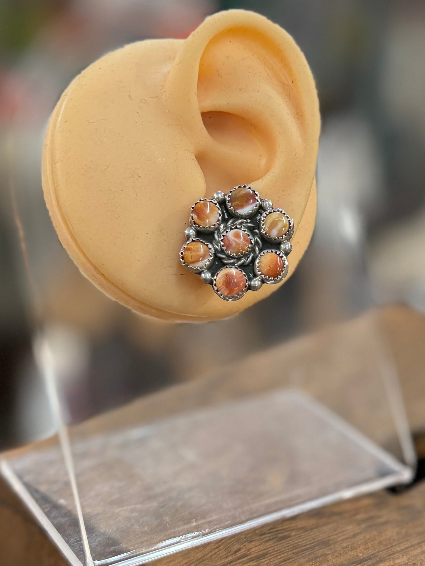 Spiny Oyster Round Stud Earrings