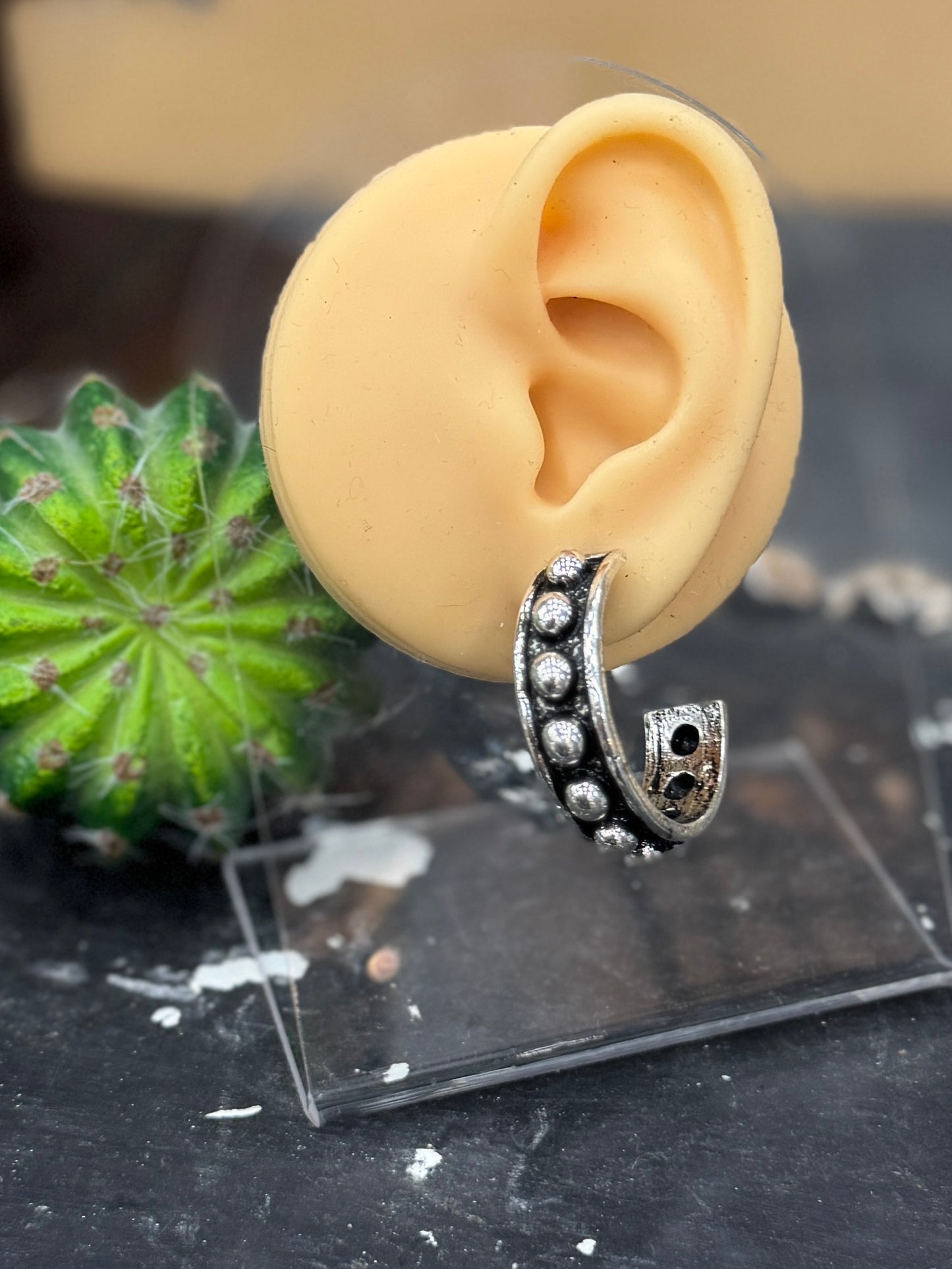 Stud Hoop Earrings