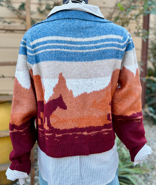 {Wild Horses} Cardigan-Sweater
