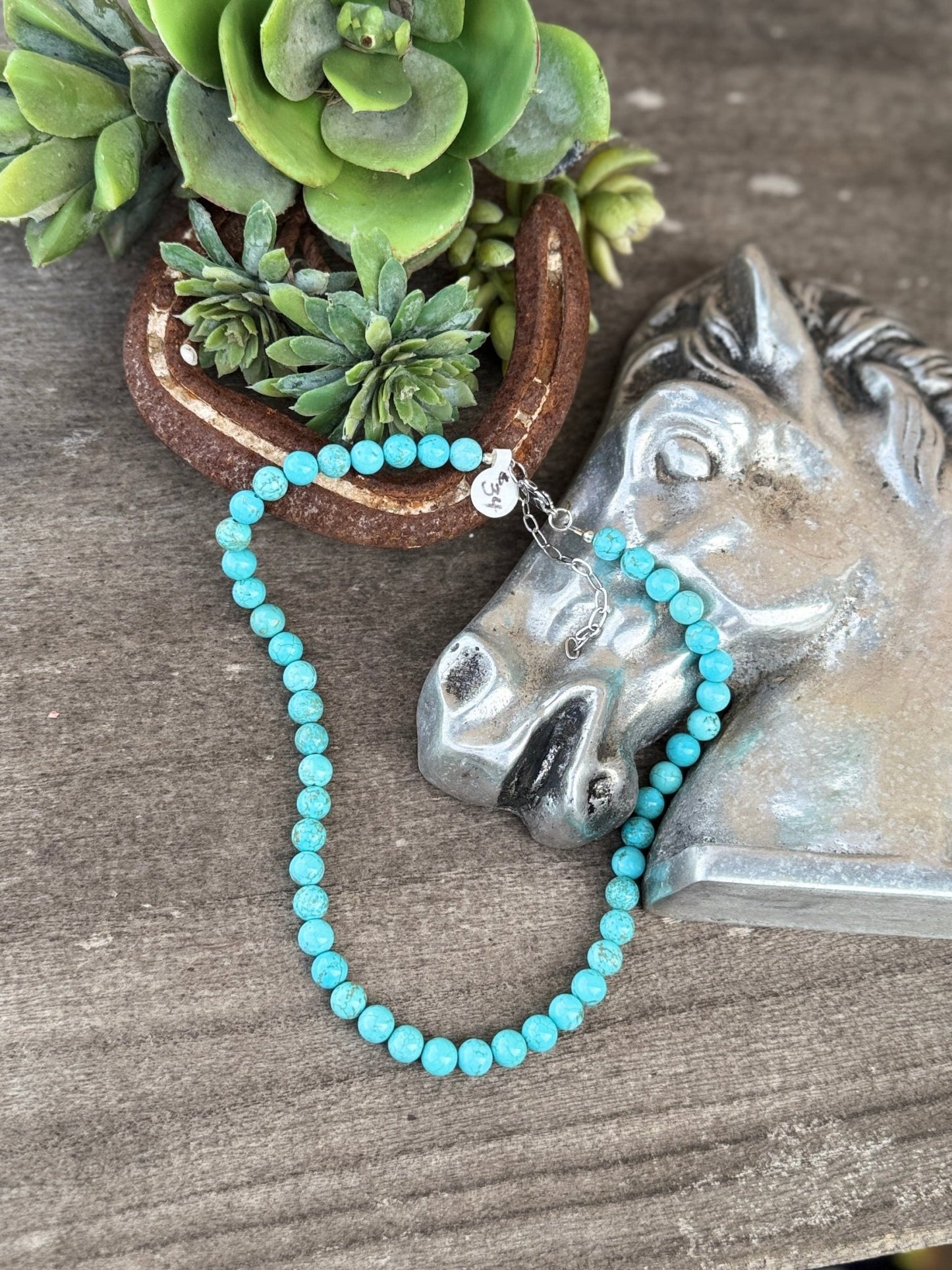 Plain Jane Turquoise Necklace - Cowgirls & City Chics