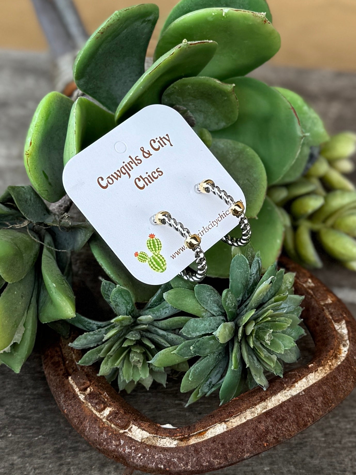 Two - Tone Rope Hoop Earrings - Cowgirls & City Chics