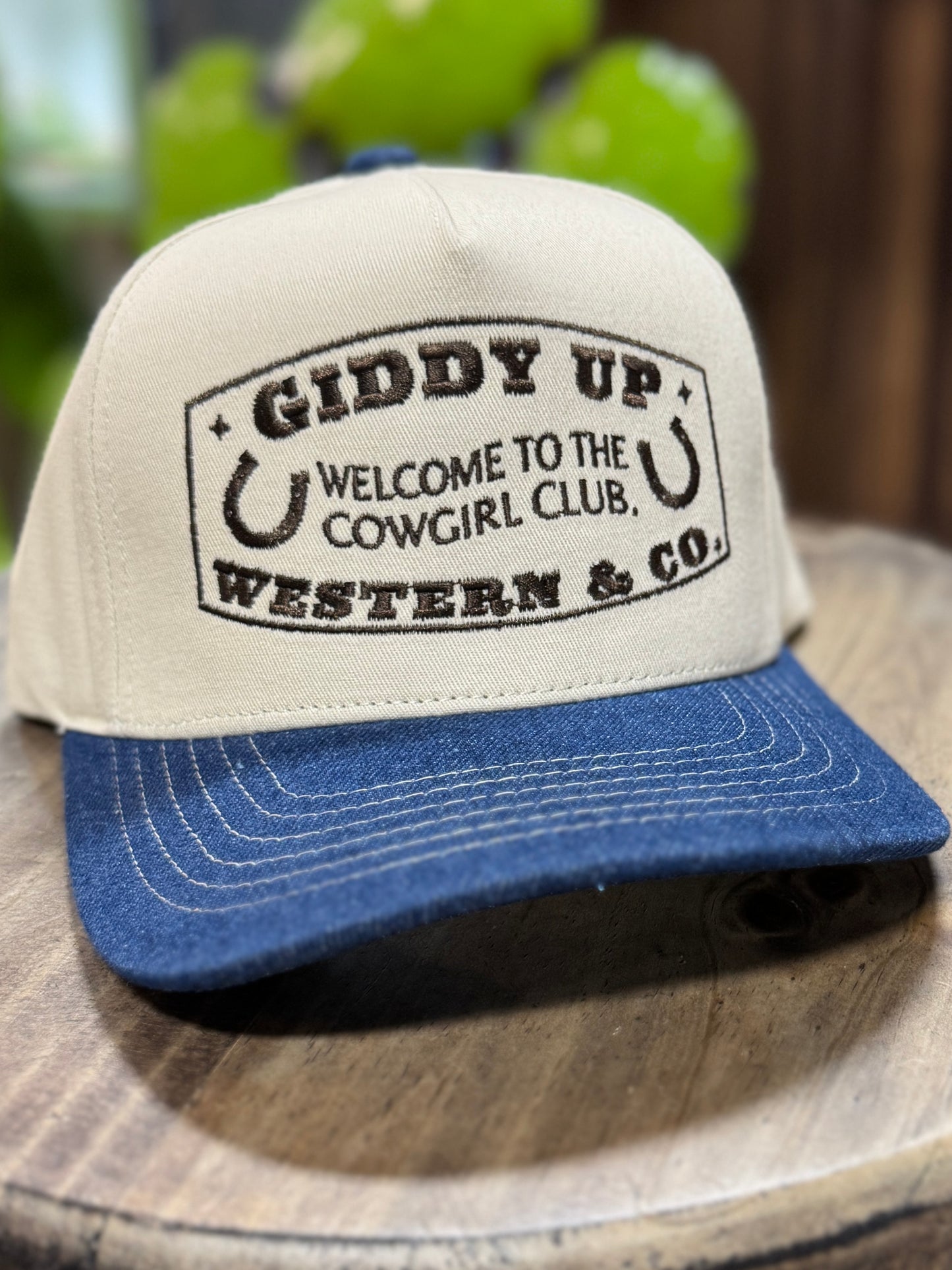 Giddy Up Embroidered Hat