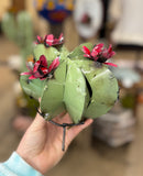 Metal Cactus Blossom