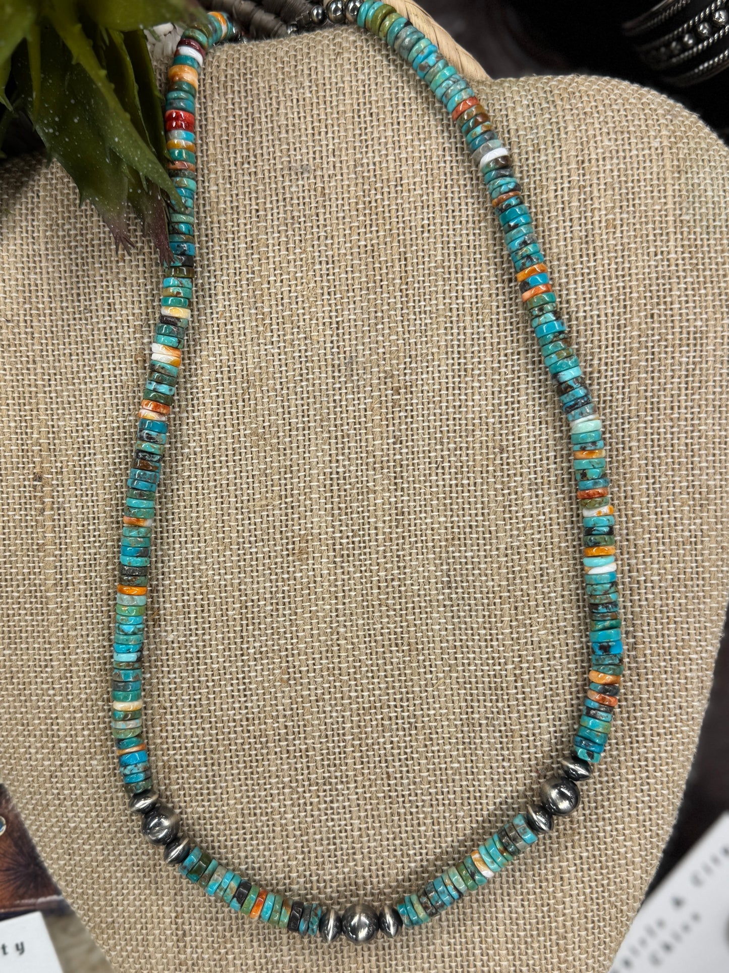 {Coastal} Spiny Oyster & Kingman Necklace