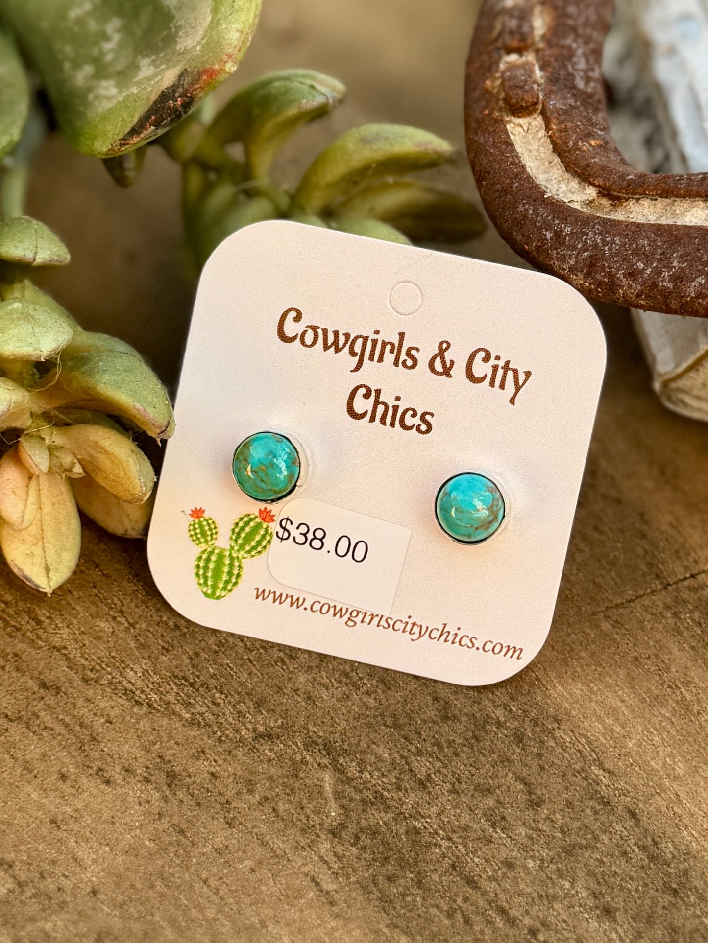 Small Turquoise Round Earrings