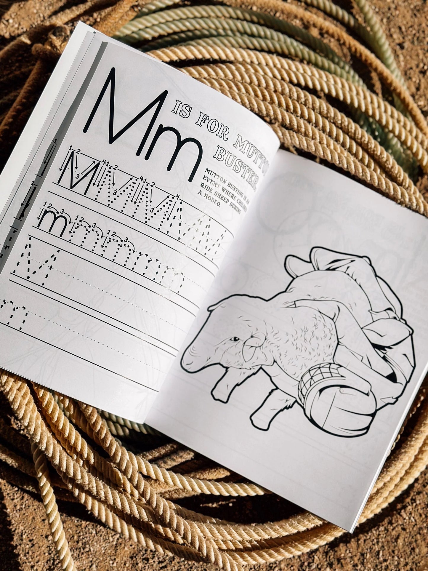 Rodeo: Workbook