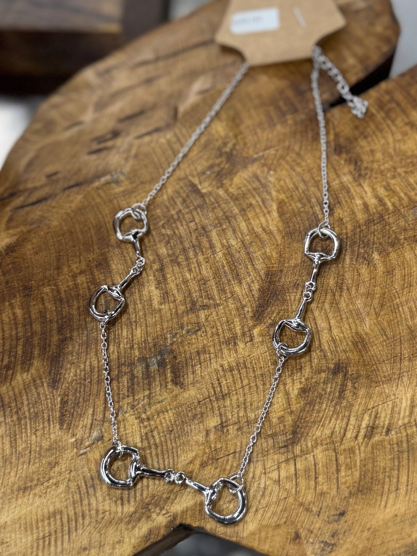 {Ella} Bit Silver Necklace - Cowgirls & City Chics