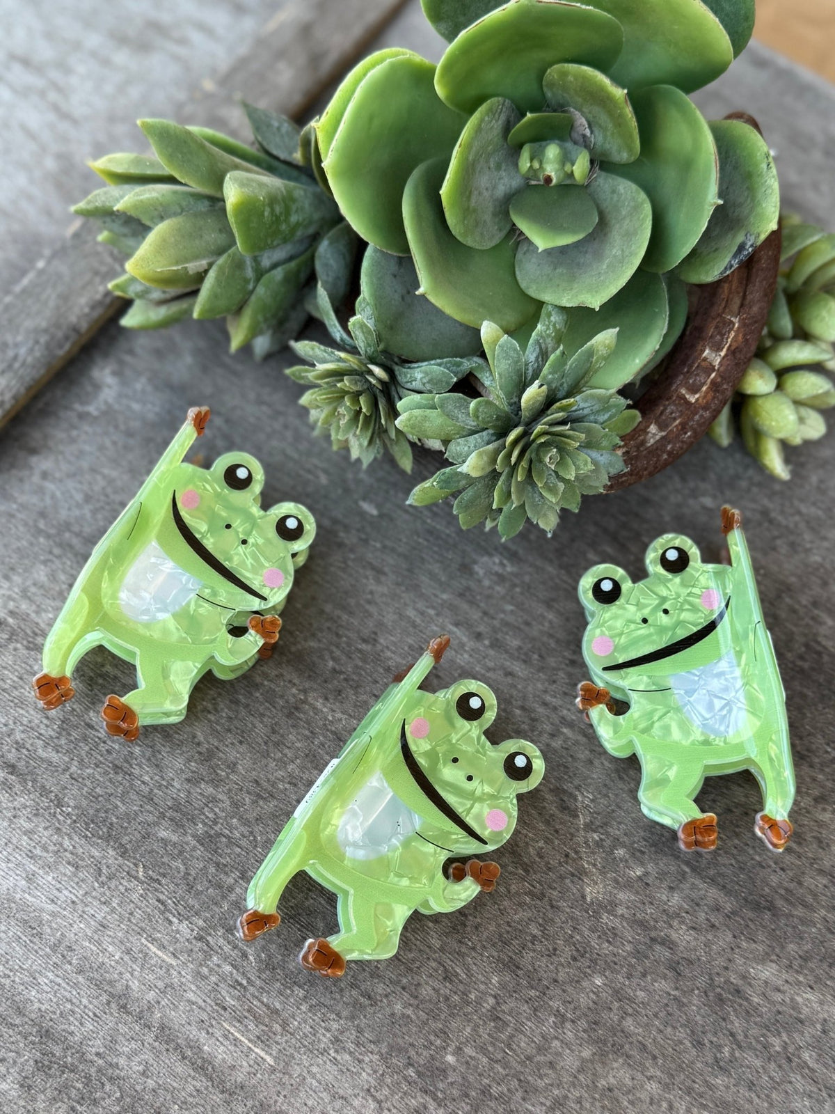 Funny Frog Claw Clip - Cowgirls & City Chics