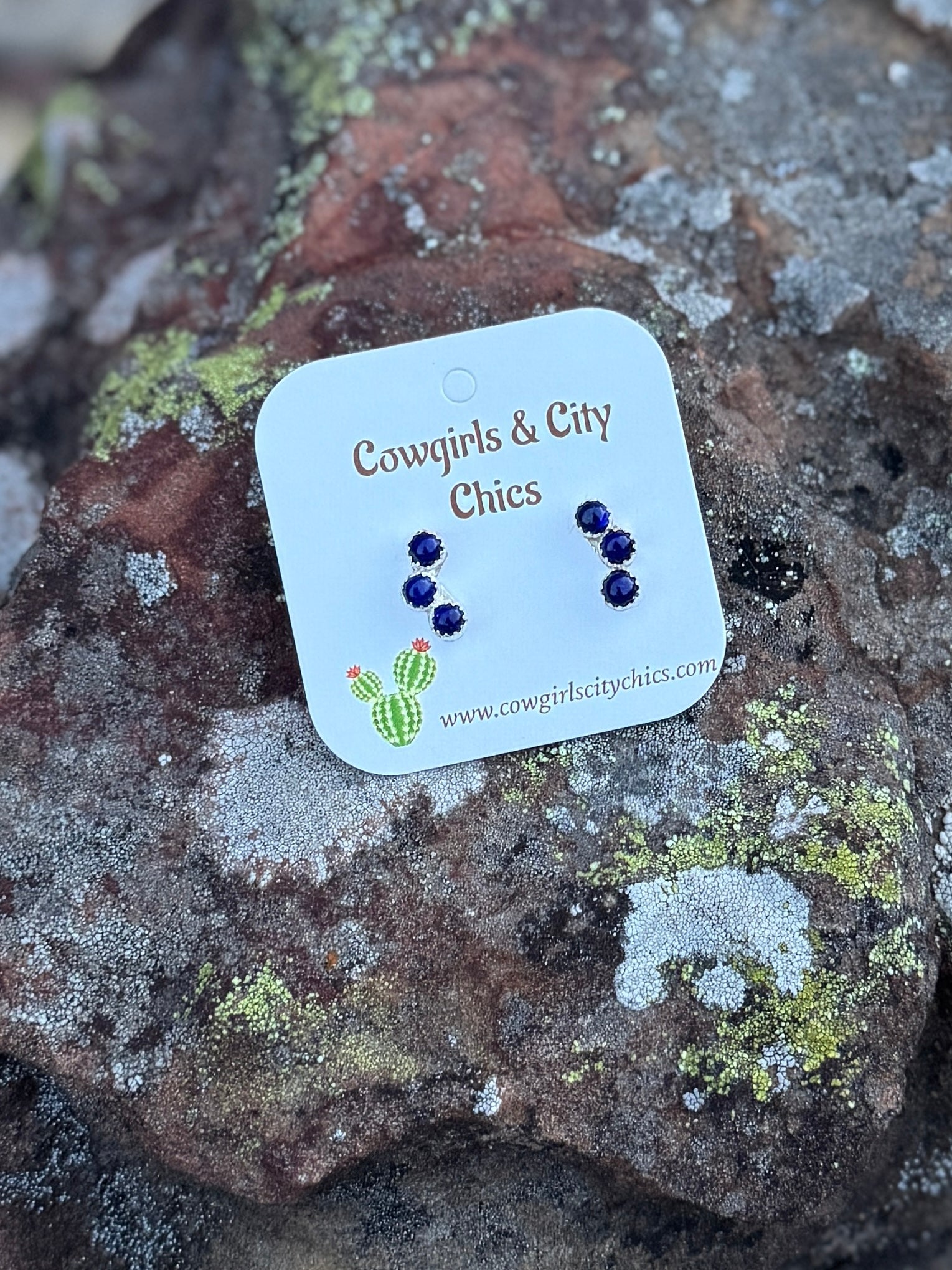 {Lapis} Small Curved Silver Earrings - Cowgirls & City Chics