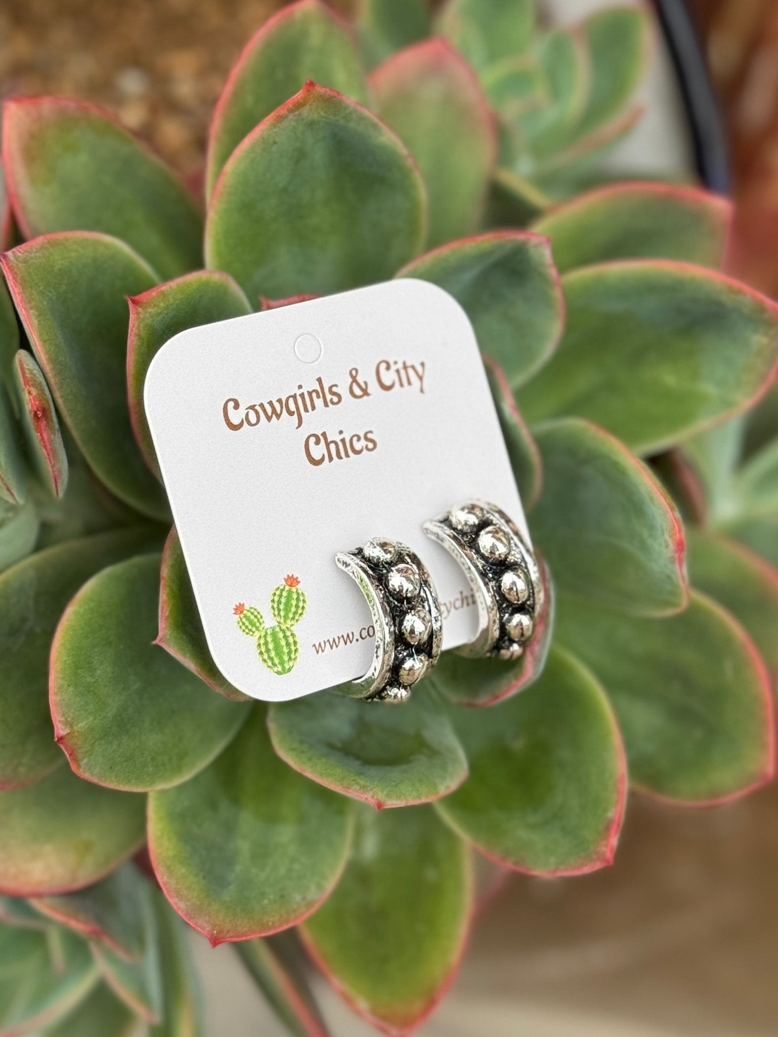{Lily} Stud Hoop Earring - Cowgirls & City Chics