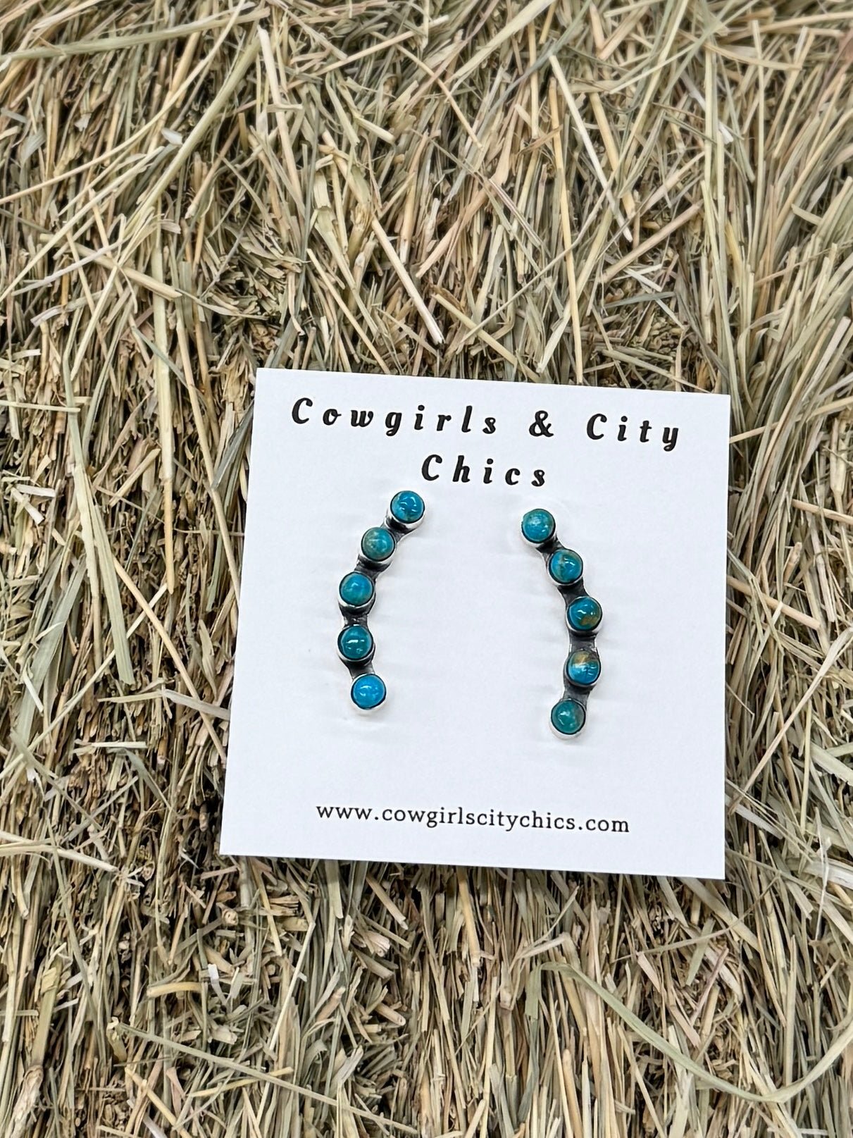Mini Ear Crawler Post Earrings - Cowgirls & City Chics