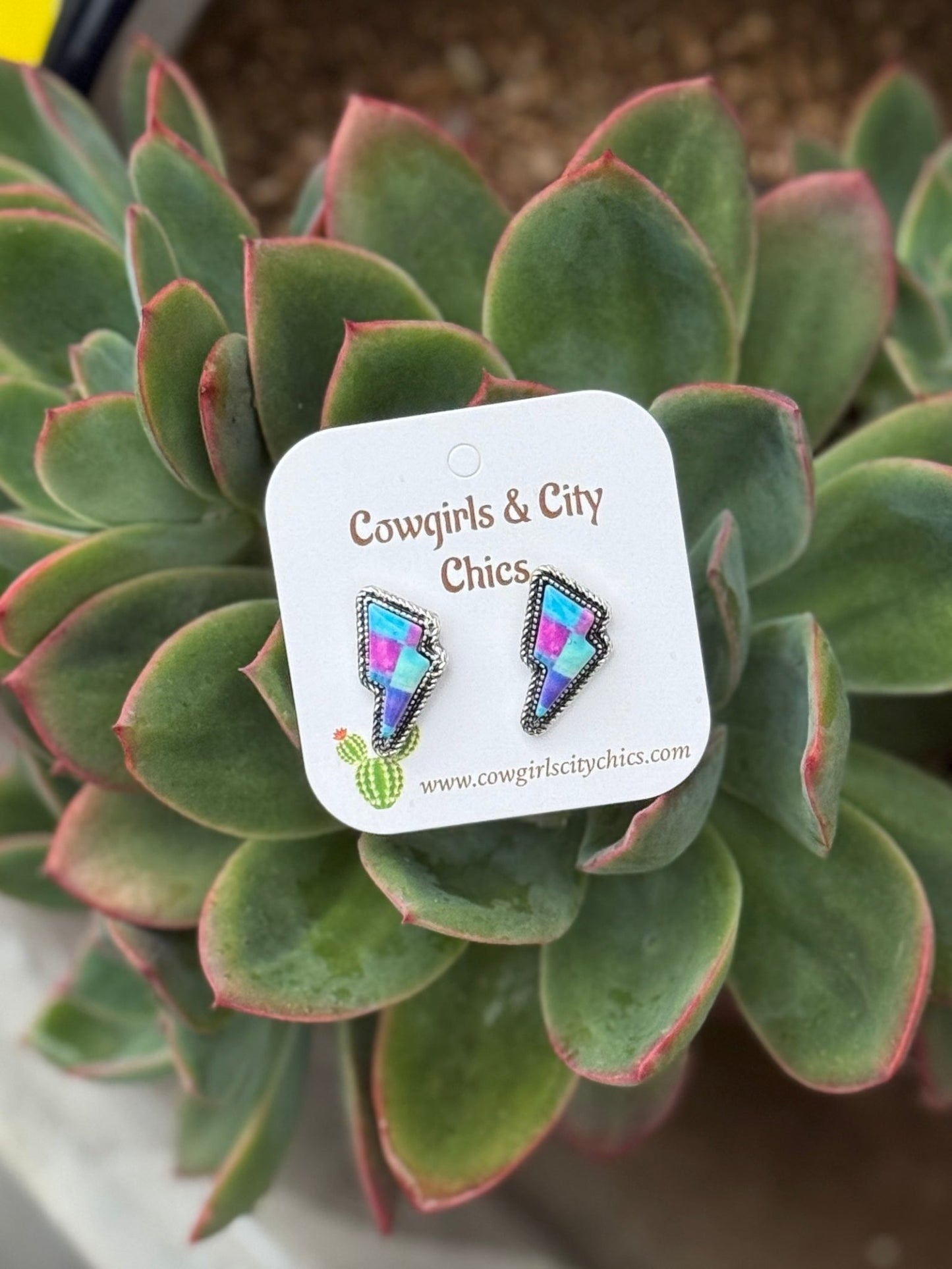 Multi - Color Checker Bolt Earrings - Cowgirls & City Chics
