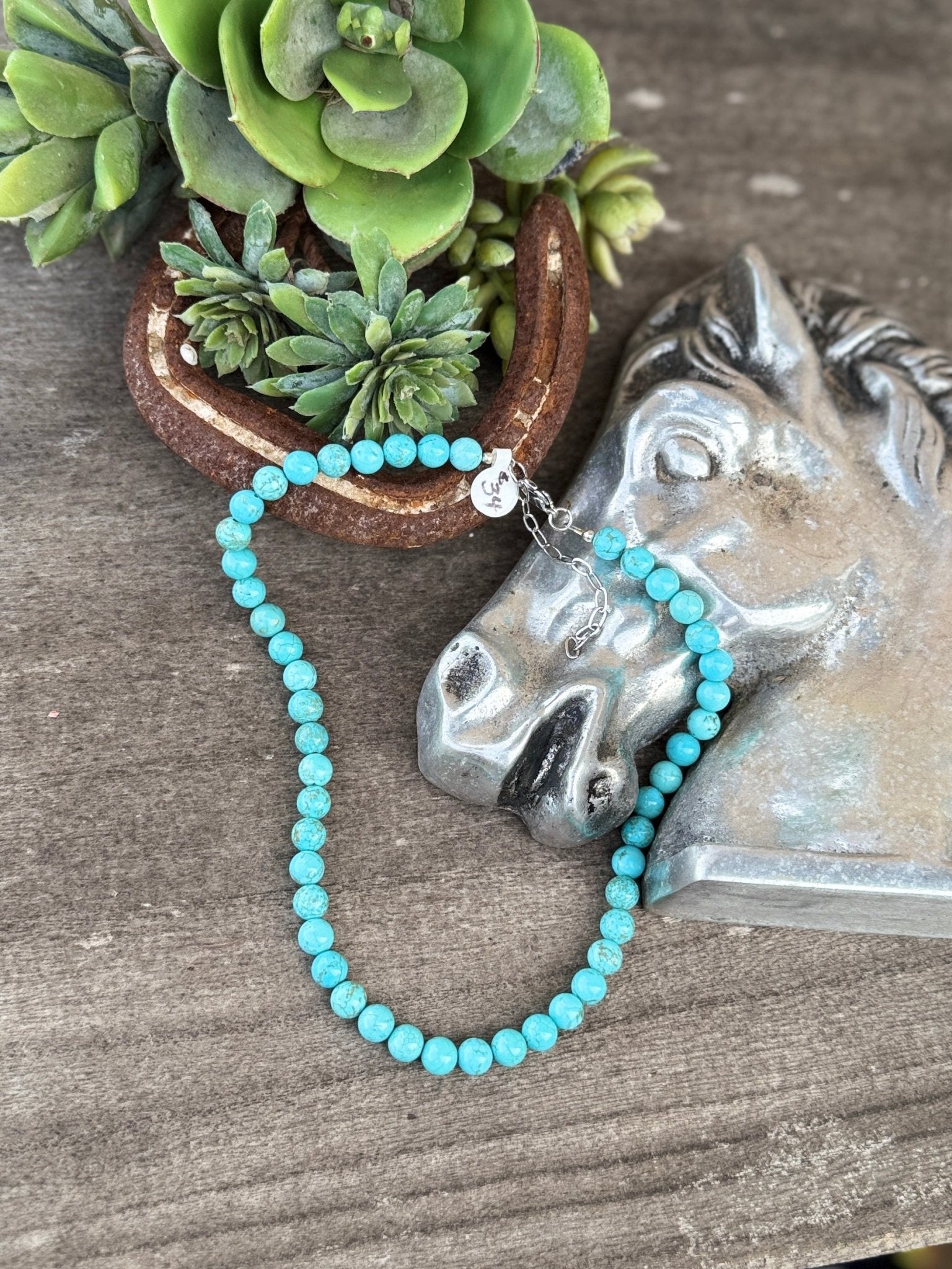 Plain Jane Turquoise Necklace - Cowgirls & City Chics