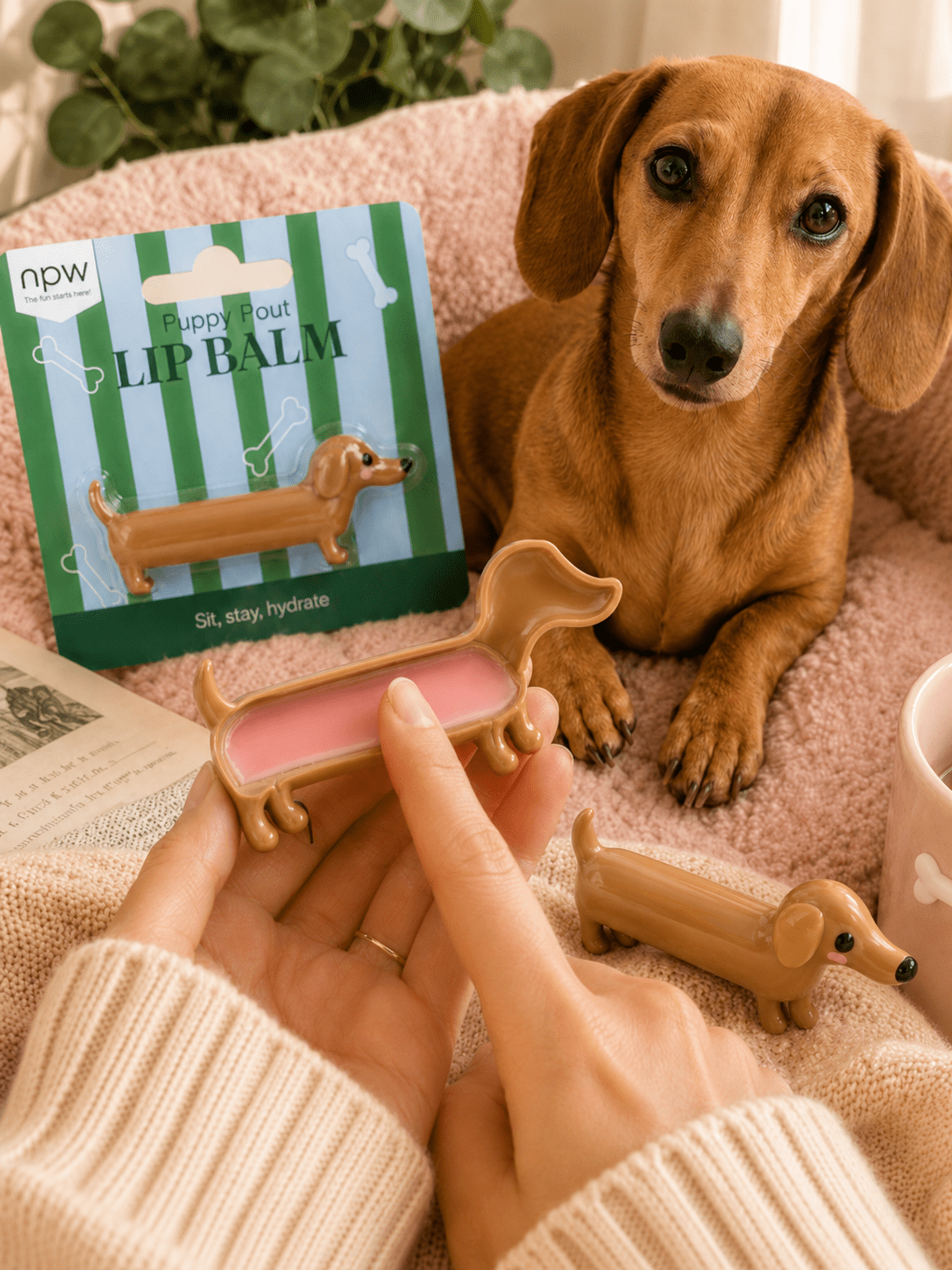 Puppy Pout Dog Lip Balm - Cowgirls & City Chics