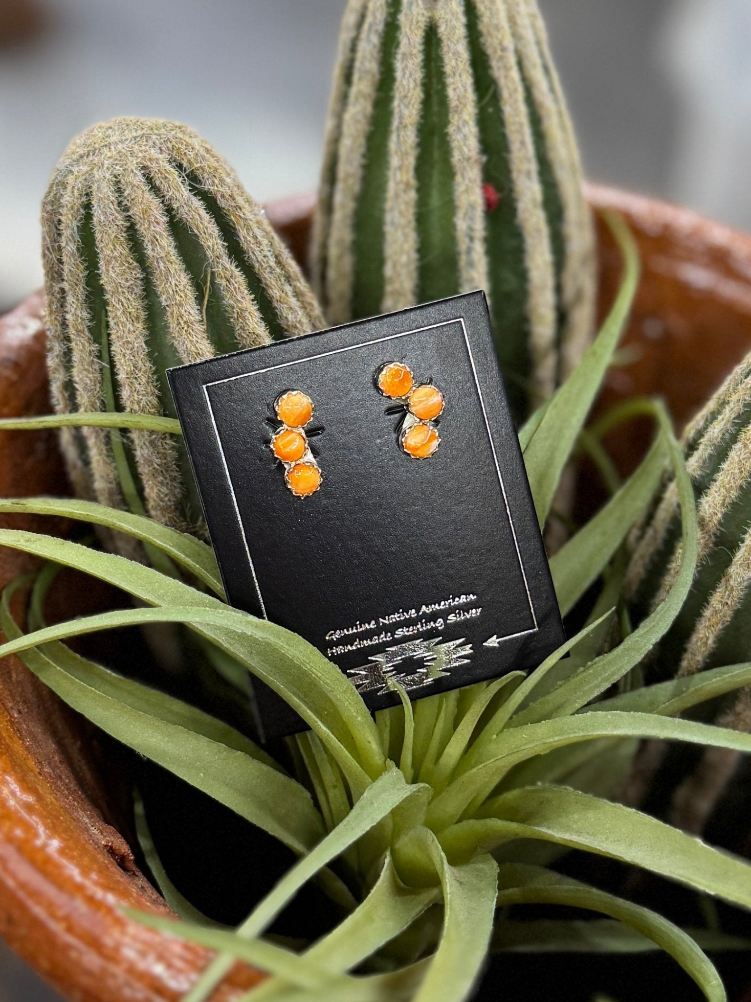 Small Curved Spiny Oyster Earrings - Cowgirls & City Chics