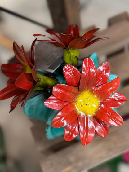 Small Turquoise Blossom Cactus - Cowgirls & City Chics