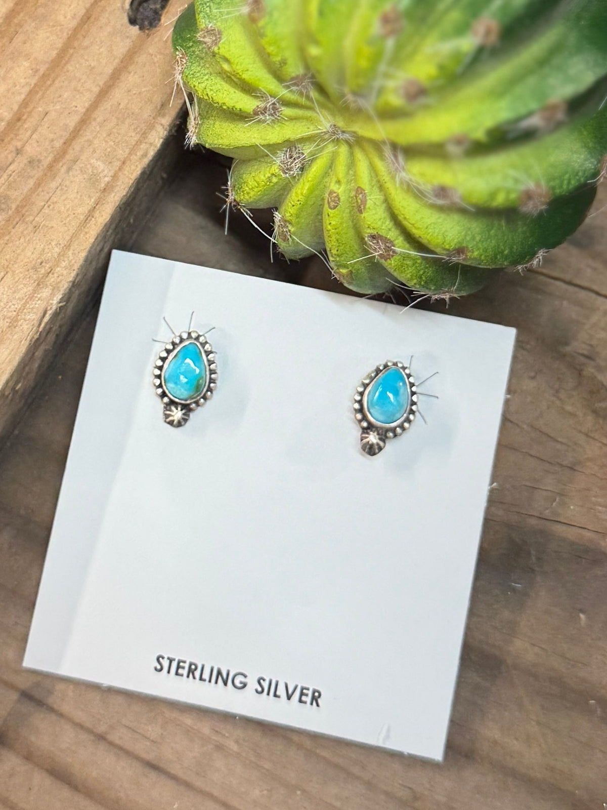 Sonoran Gold Silver Stud Earrings - Cowgirls & City Chics