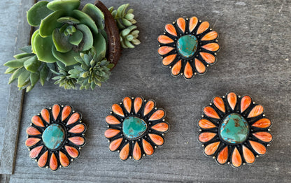 Spiny Oyster Cluster Belt Buckle - Cowgirls & City Chics
