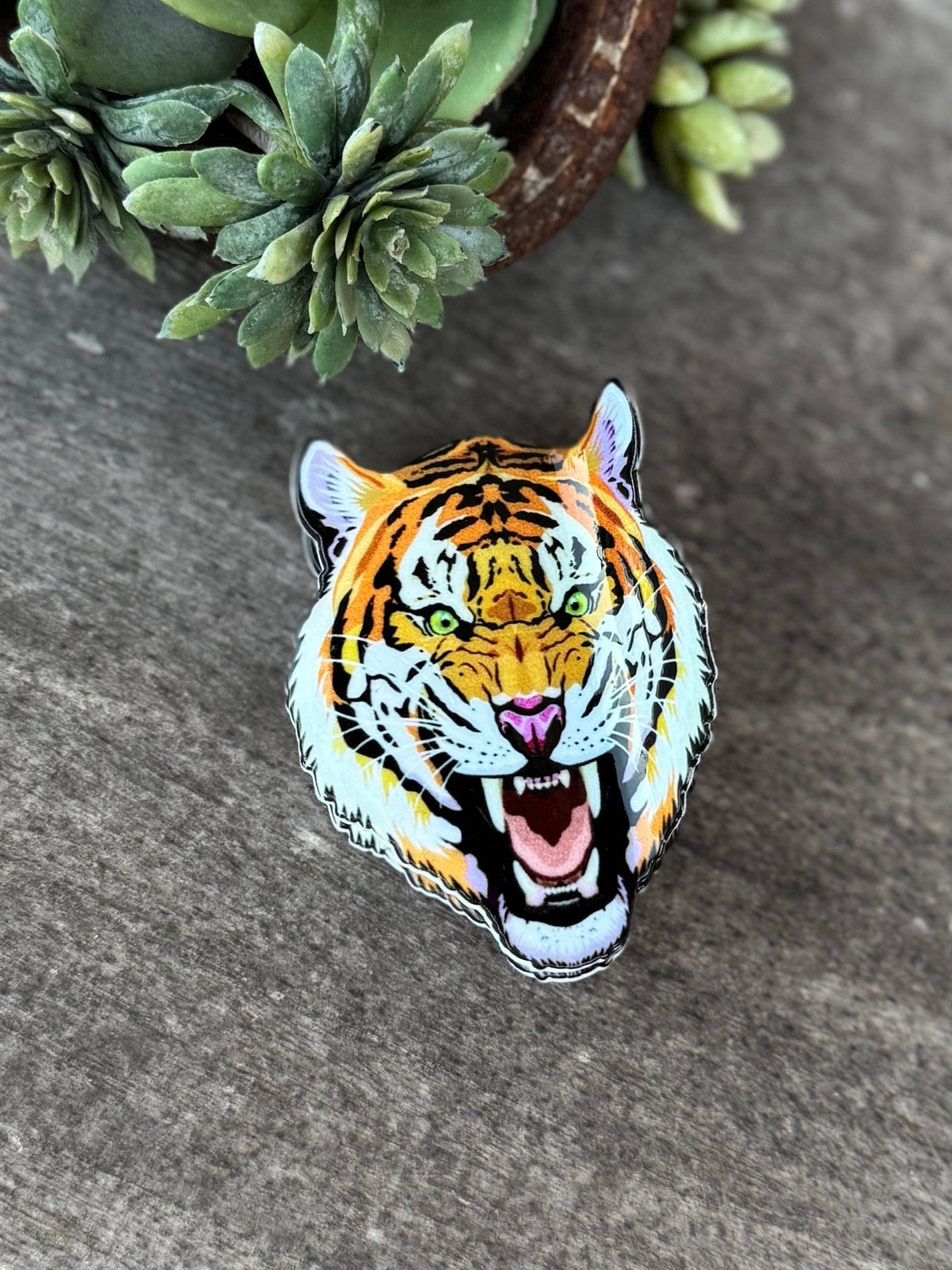 Tiger & Leopard Head Print Hair Claw Wild Animal - Cowgirls & City Chics