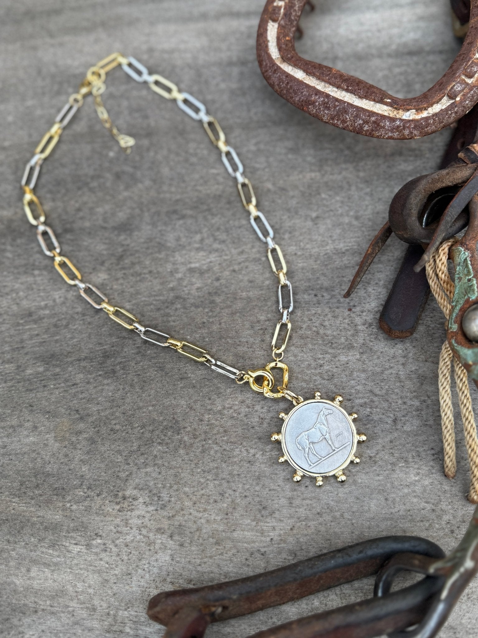 Two - Tone Equestrian Coin Necklace - Cowgirls & City Chics