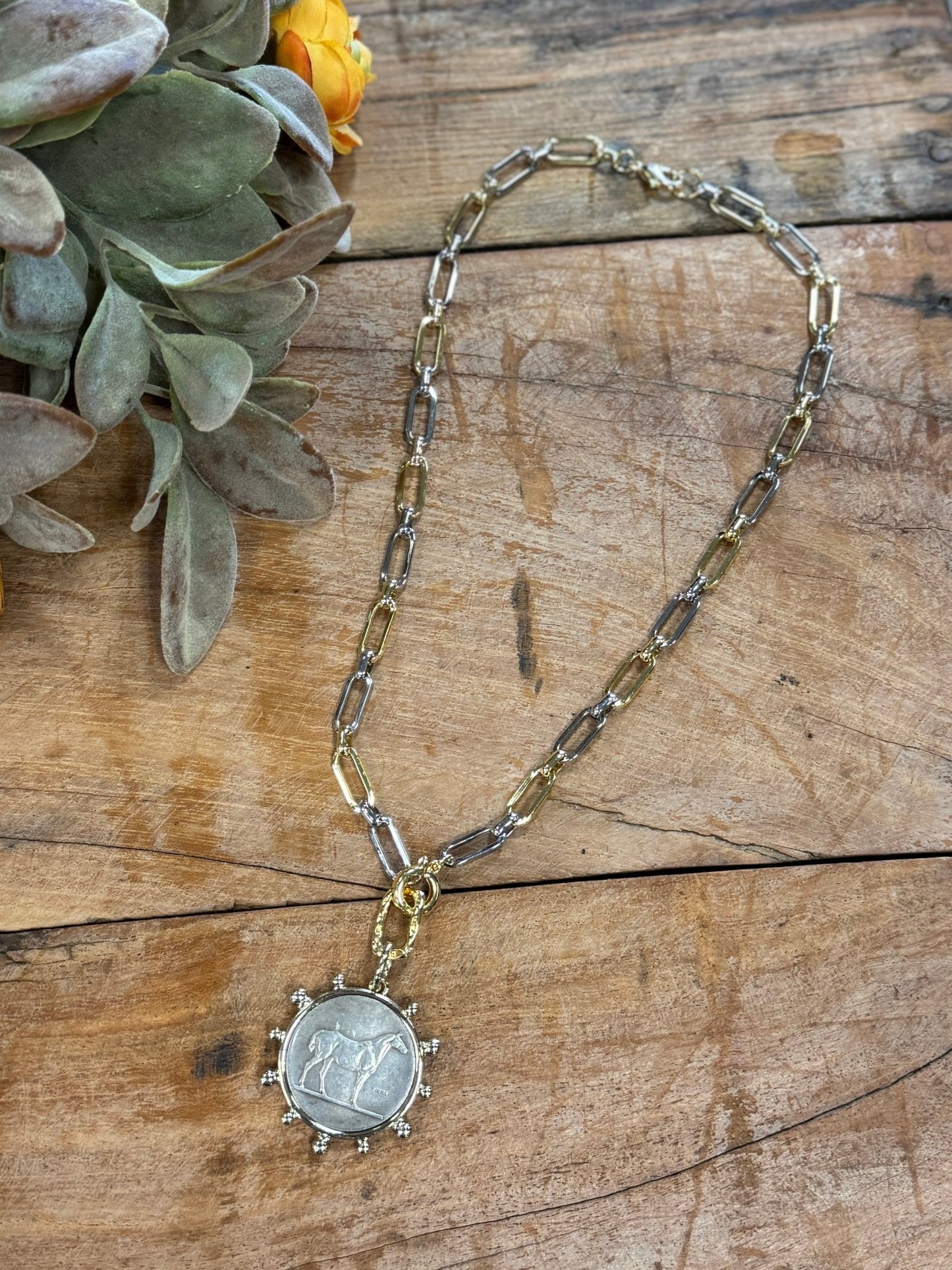 Two-Tone Equestrian Coin Necklace - Cowgirls & City Chics